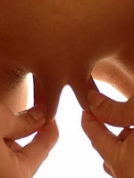 pussy lips